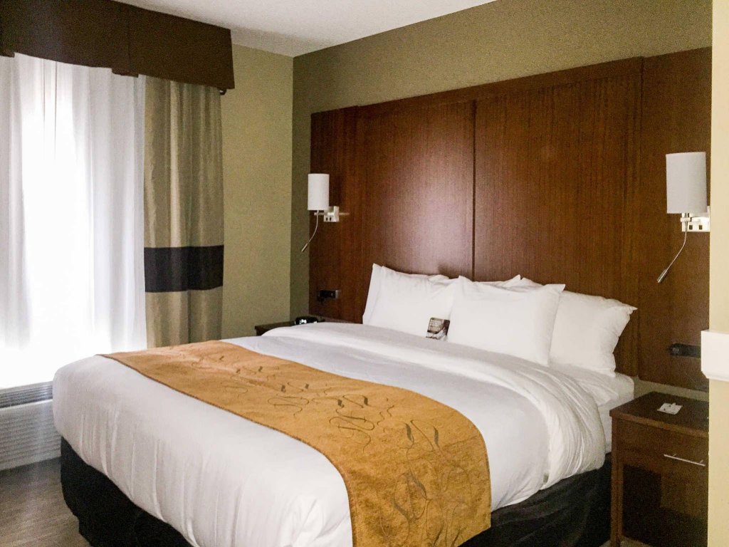 Фото Comfort Suites University