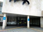 Kempo Children's and Youth Sports School of Martial Arts (Mira Avenue, 83), club deportivo, sección