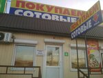Покупаем сотовые (ulitsa Tulayeva, 108к1) ، متجر أجهزة إلكترونية