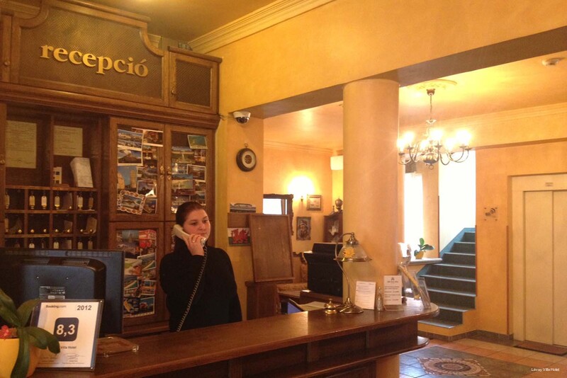 Фото Levay Villa Hotel