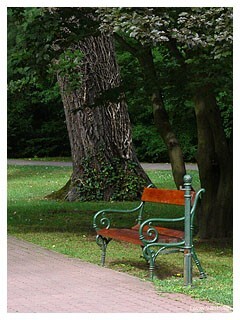 Фото Levay Villa Hotel