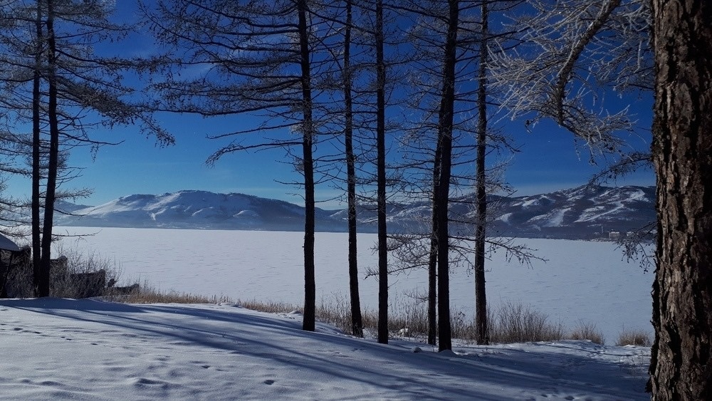 Фото Веранда