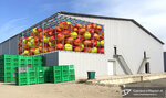Овощехранилище (ulitsa Porokhovaya Balka, 15А), vegetables and fruit wholesale