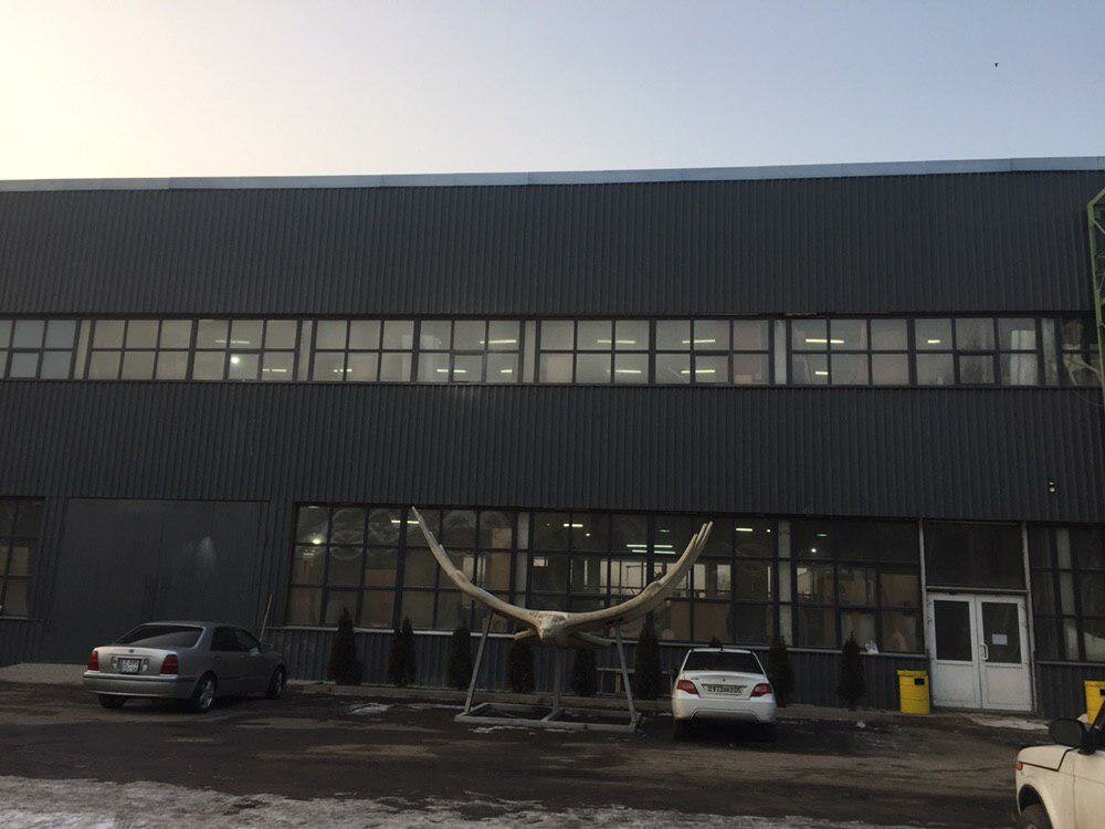 Carpentry Spkaas, Almaty, photo