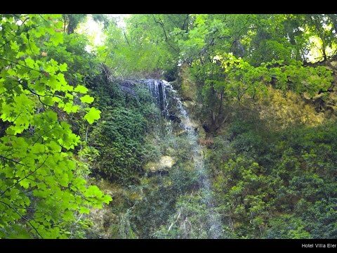 Фото Hotel Villa Elena