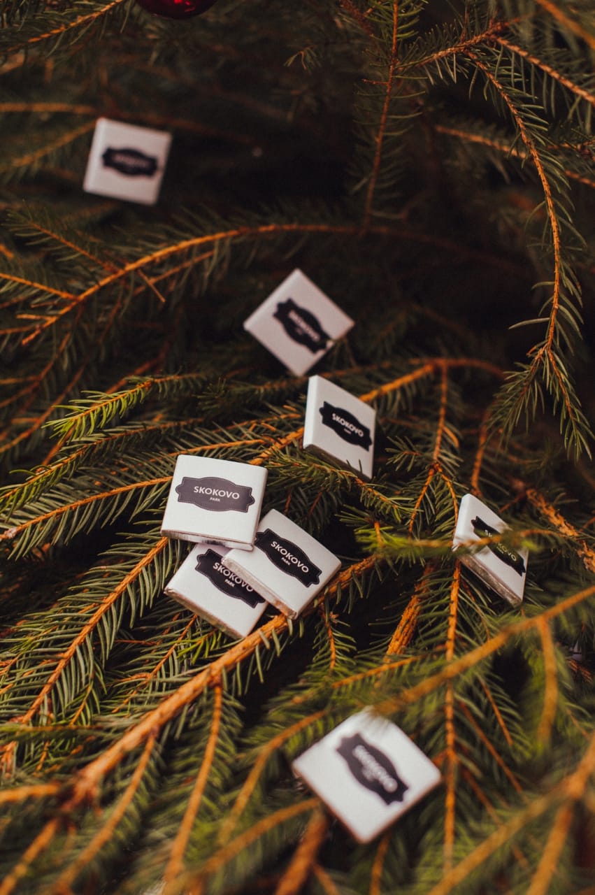 Фото Загородный отель Скоково парк