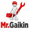 Mr. Gaikin