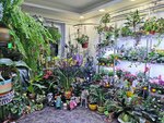 Flowers in the South (mikrorayon Yuzhny, 6), flower shop