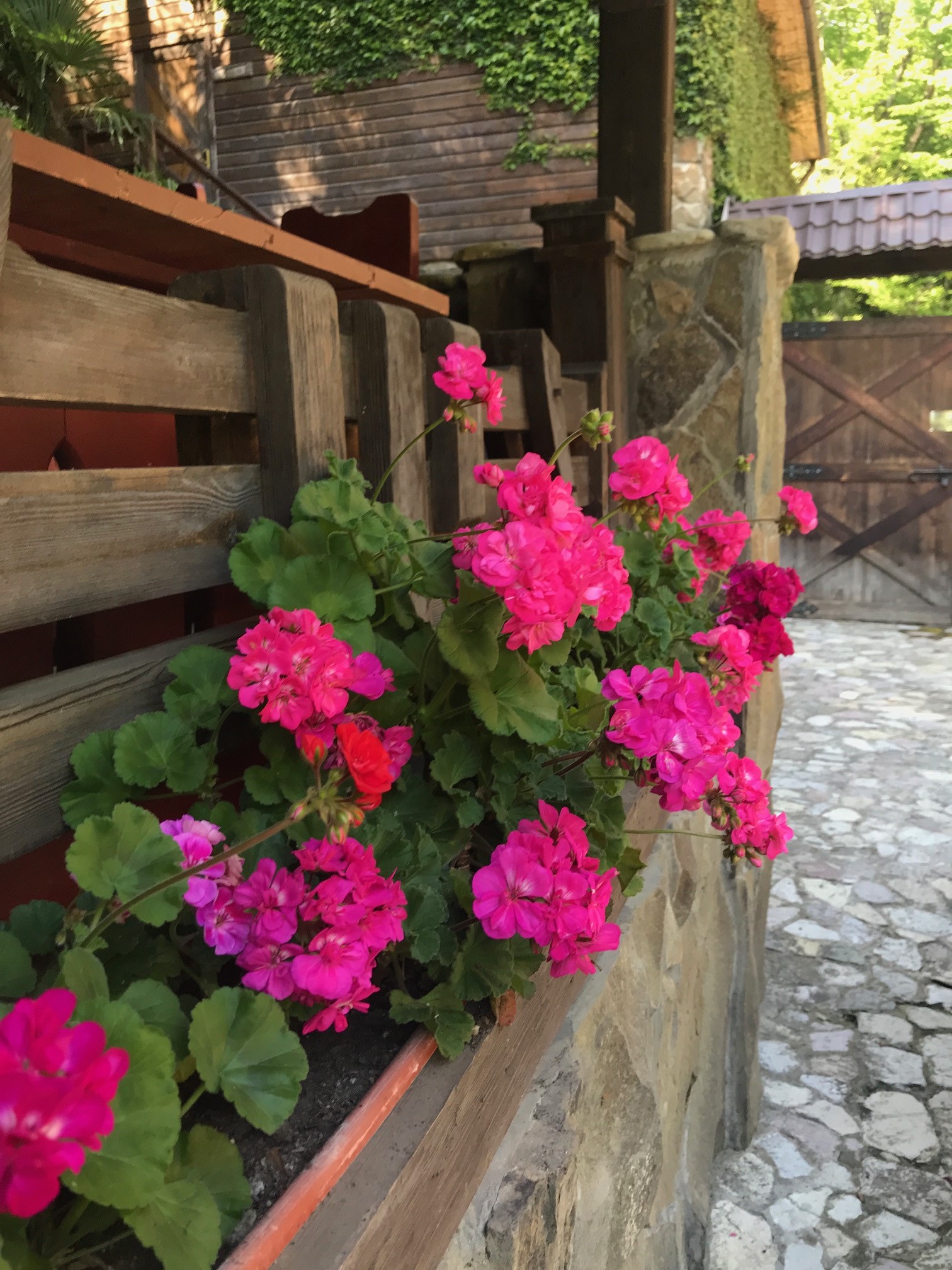 Фото Вилла Анна