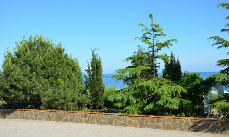 Фото Алые Паруса