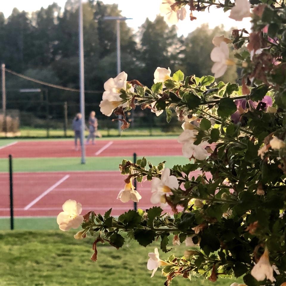 Фото Дачники