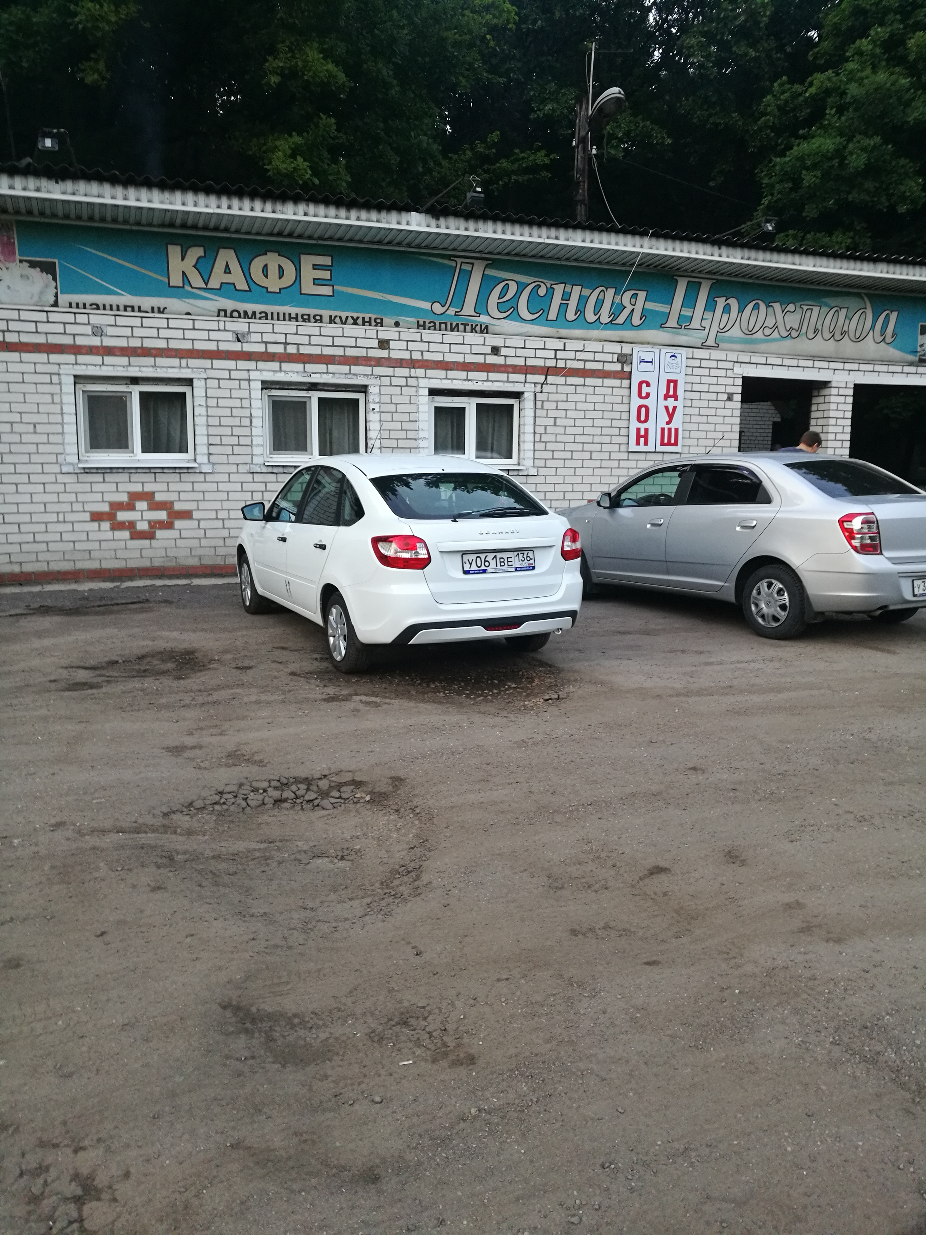 Лесное кафе сызрань телефон