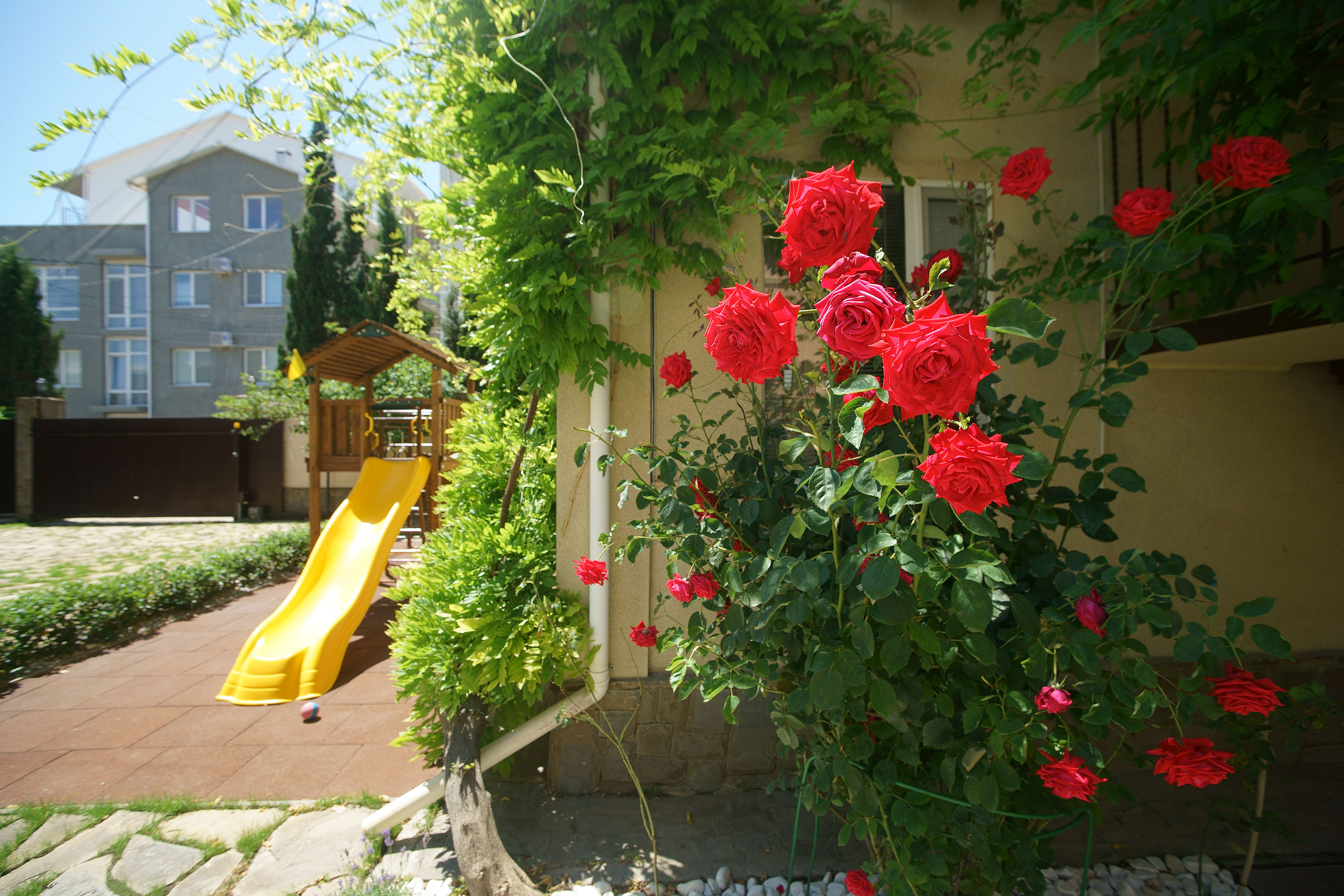 Фото Альяна