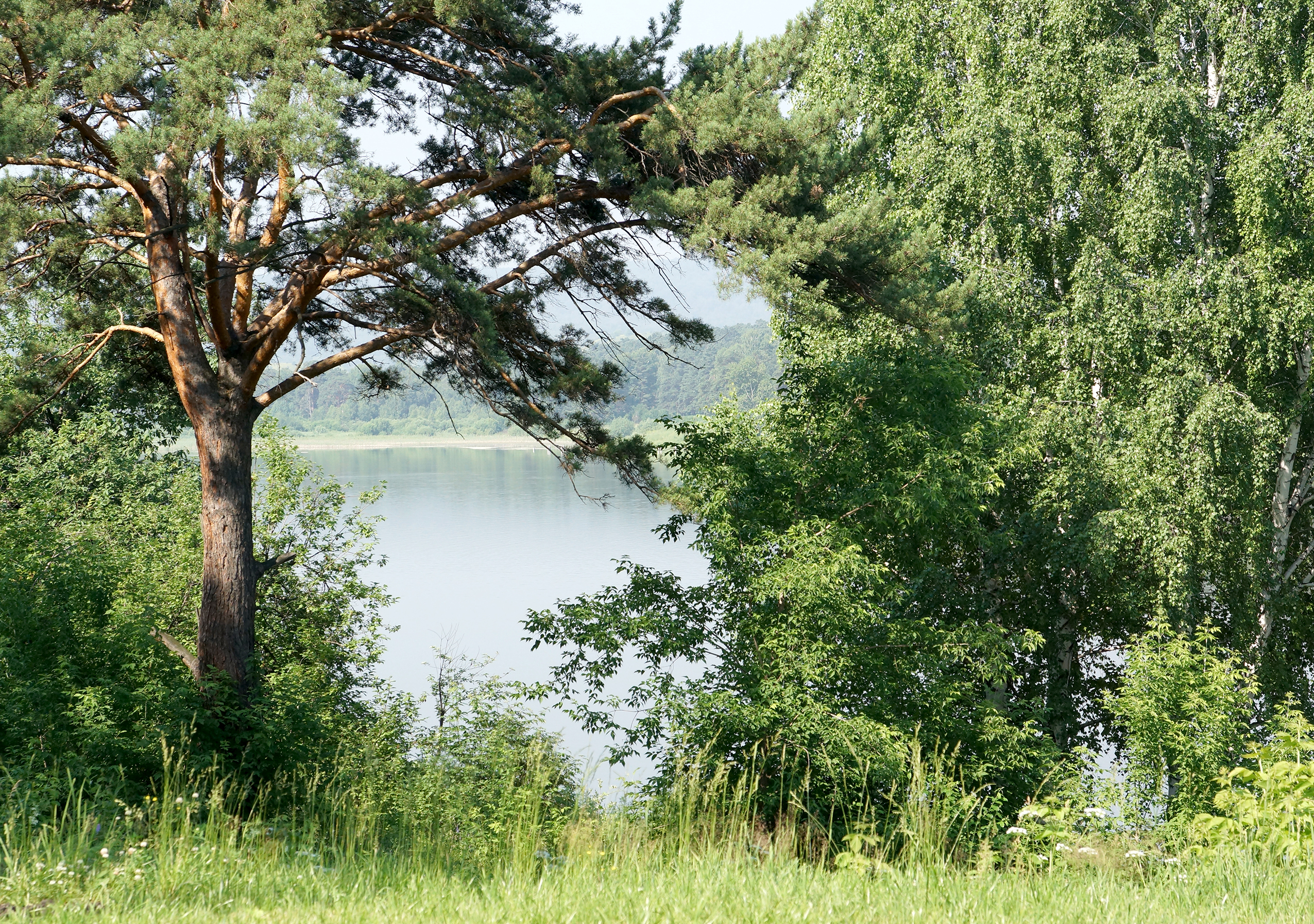 Фото Шахтер