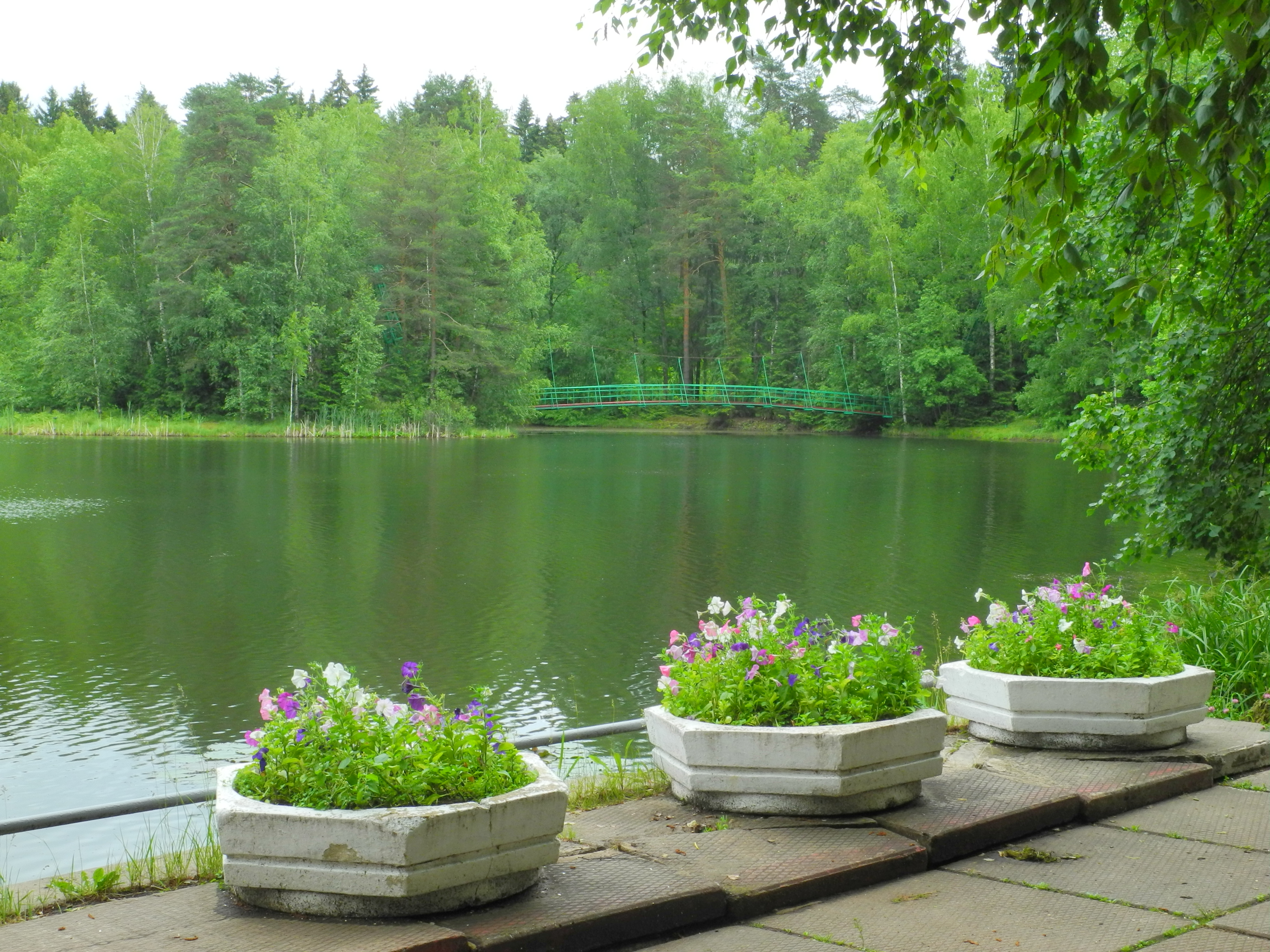 Фото Санаторий Пушкино