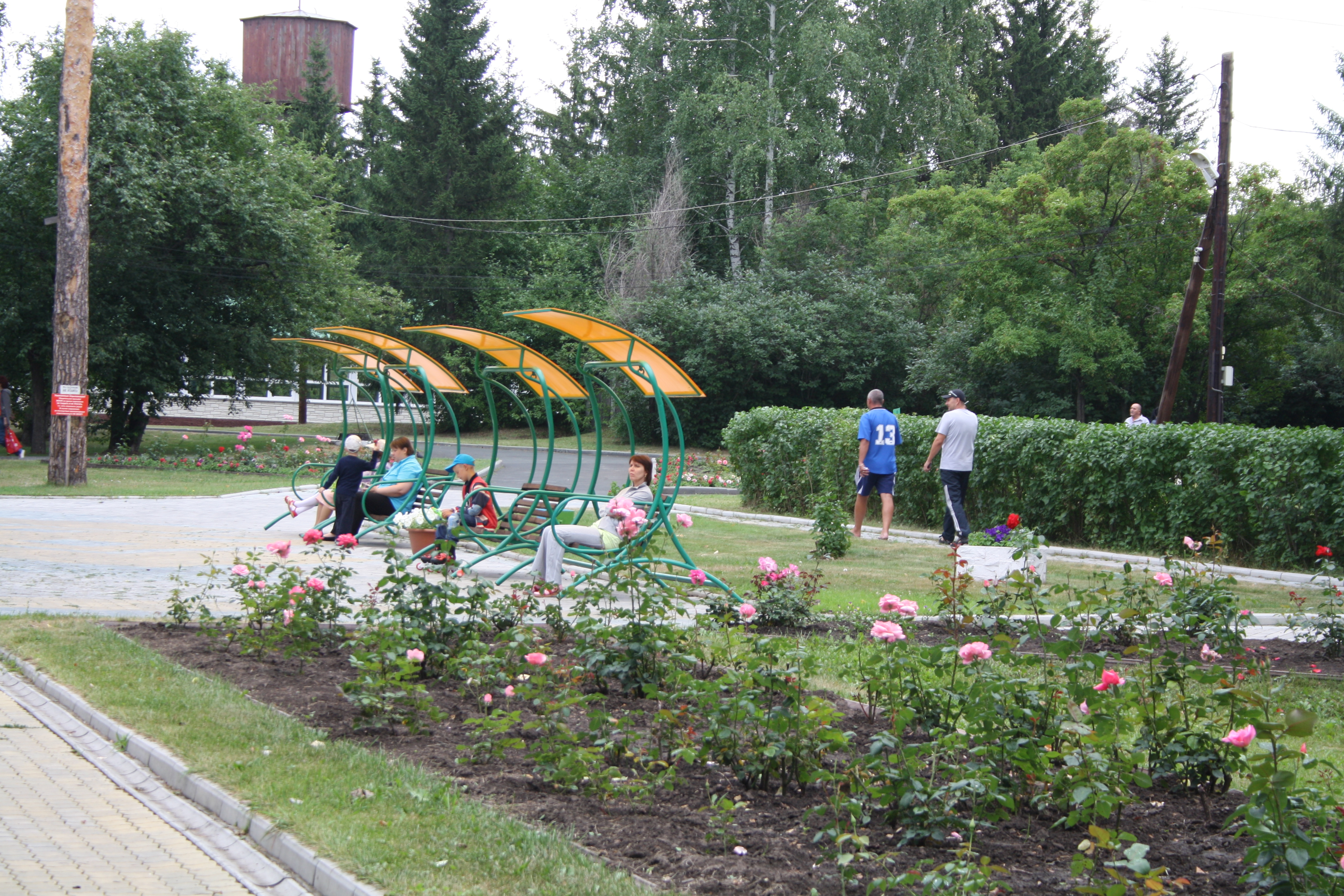 Фото Сосновый бор