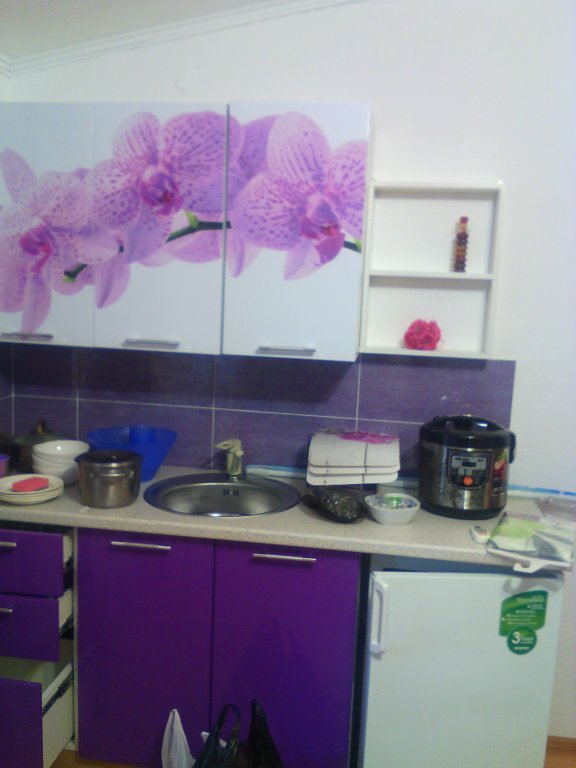 Фото Березка