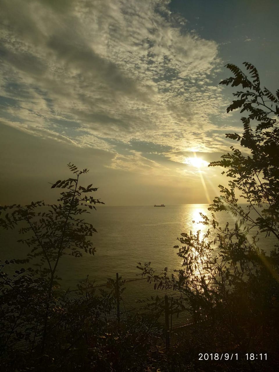 Фото Галина-чайка