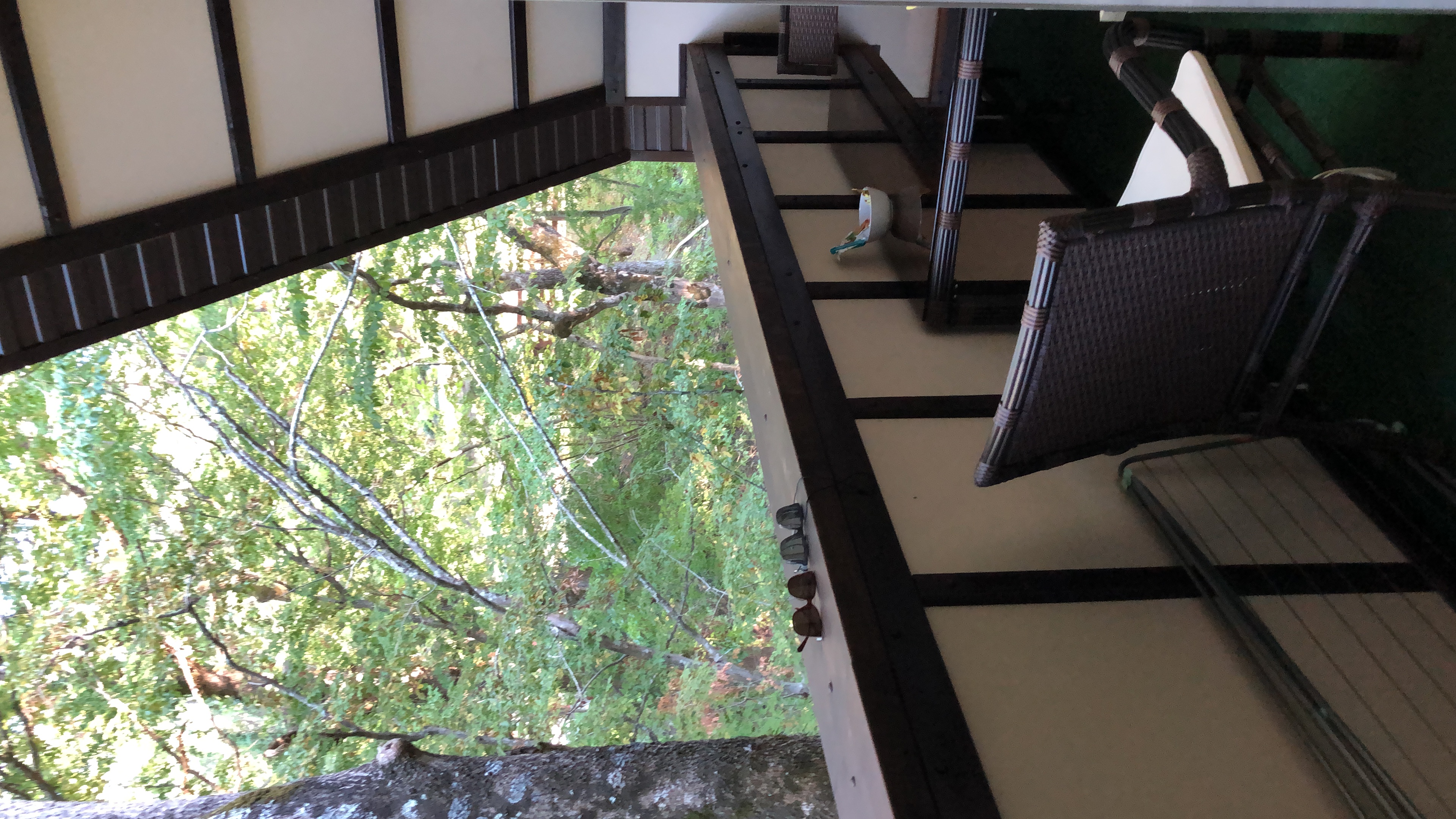 Фото Дельфин Холидей Парк Инал