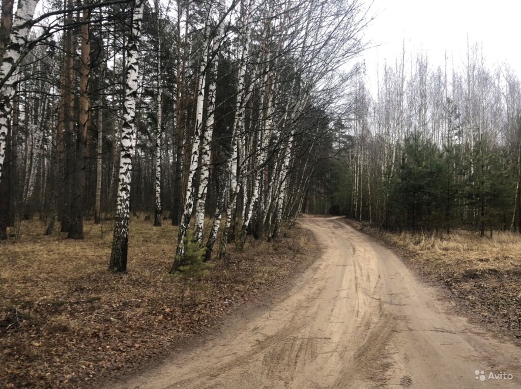 Приокский парк