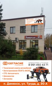 Format Auto (posyolok gorodskogo tipa Demyansk, ulitsa Truda, 30А), car service, auto repair
