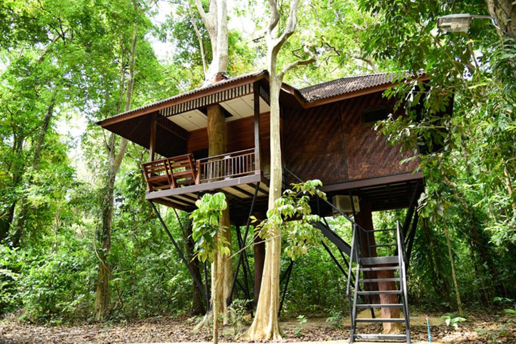 Фото Khaosok Nature Resort