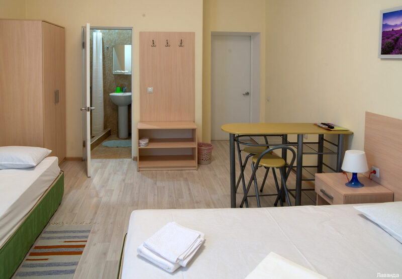 Фото Лаванда