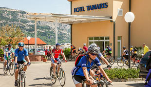 Фото Hotel Tamaris