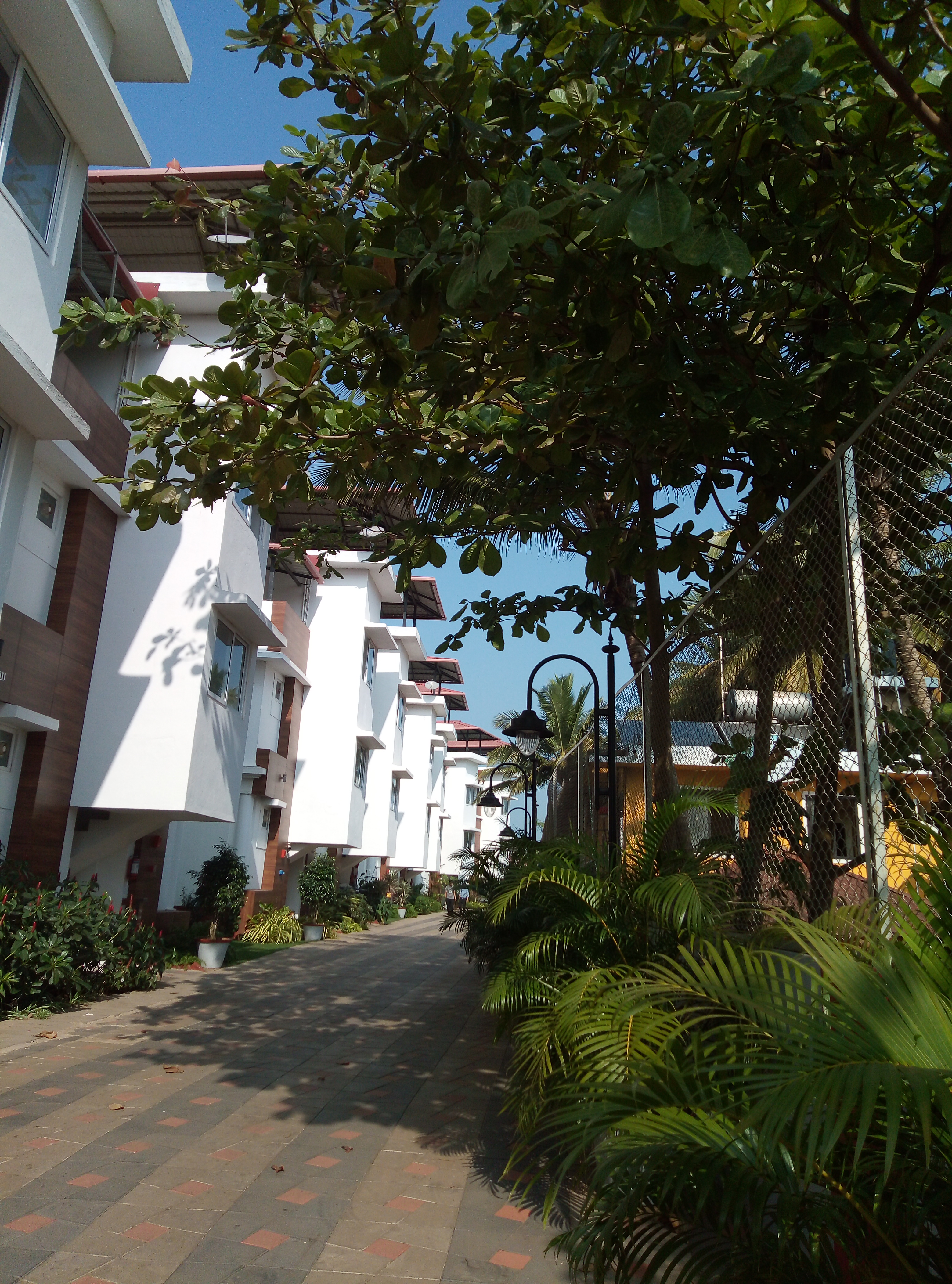 Фото Salcete Beach Resort