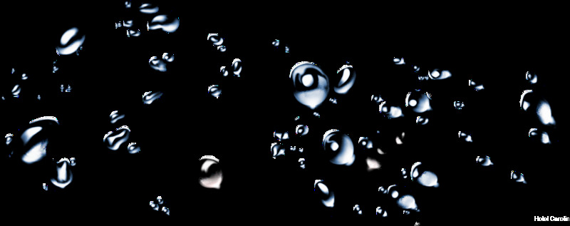 Фото Hotel Carol