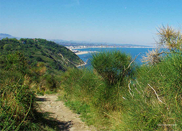 Фото Hotel Giovanna Regina