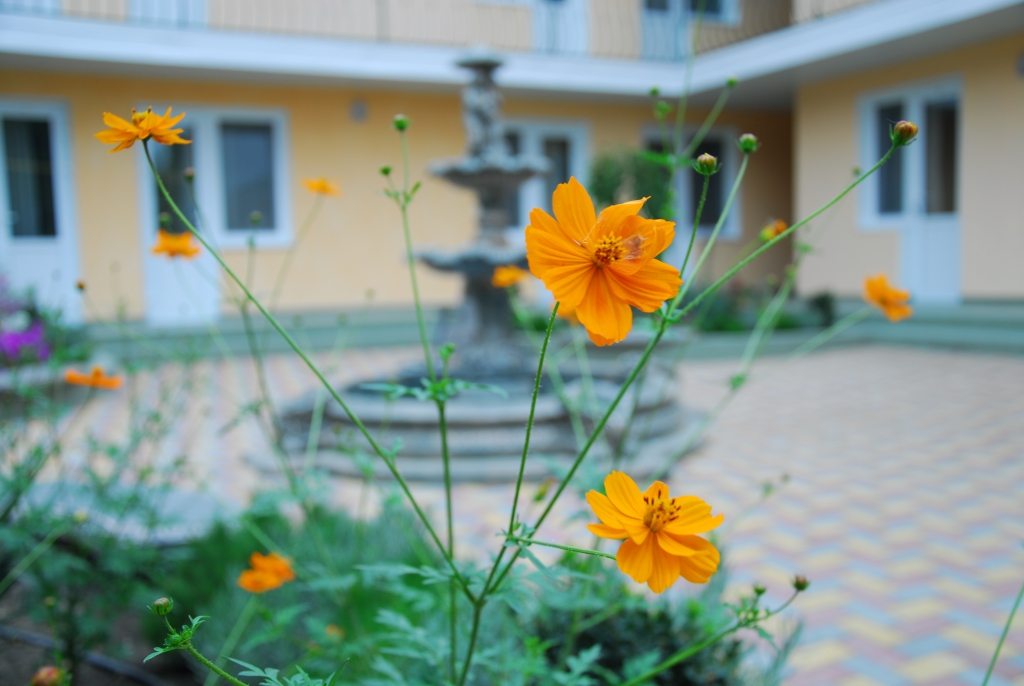 Фото Пансион Кафа