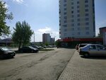 Парковка (ул. Щербакова, 3А, Екатеринбург), автомобильная парковка в Екатеринбурге