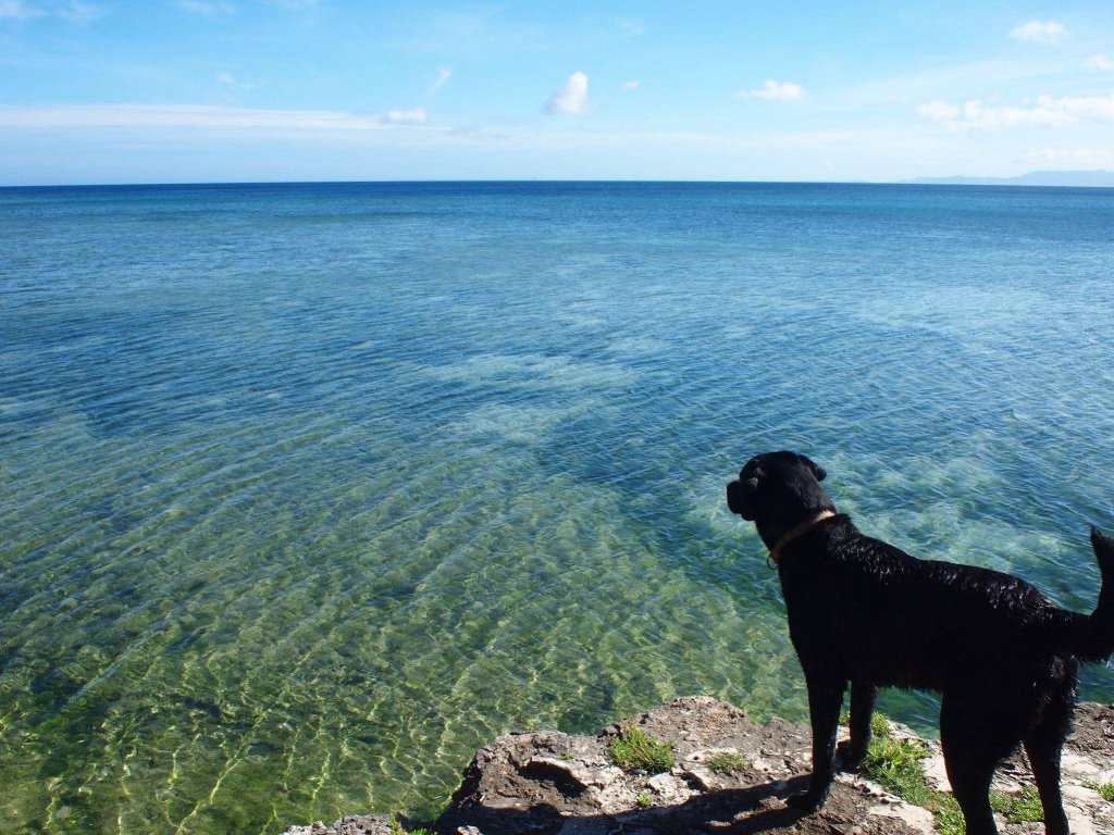 Фото Life is a Journey - Hostel