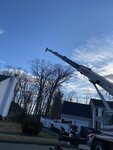 J. Witkowsky & Sons Tree Service LLC (United States, North Branford, 73 Branford Road), urban improvement