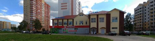Диана — фото 4