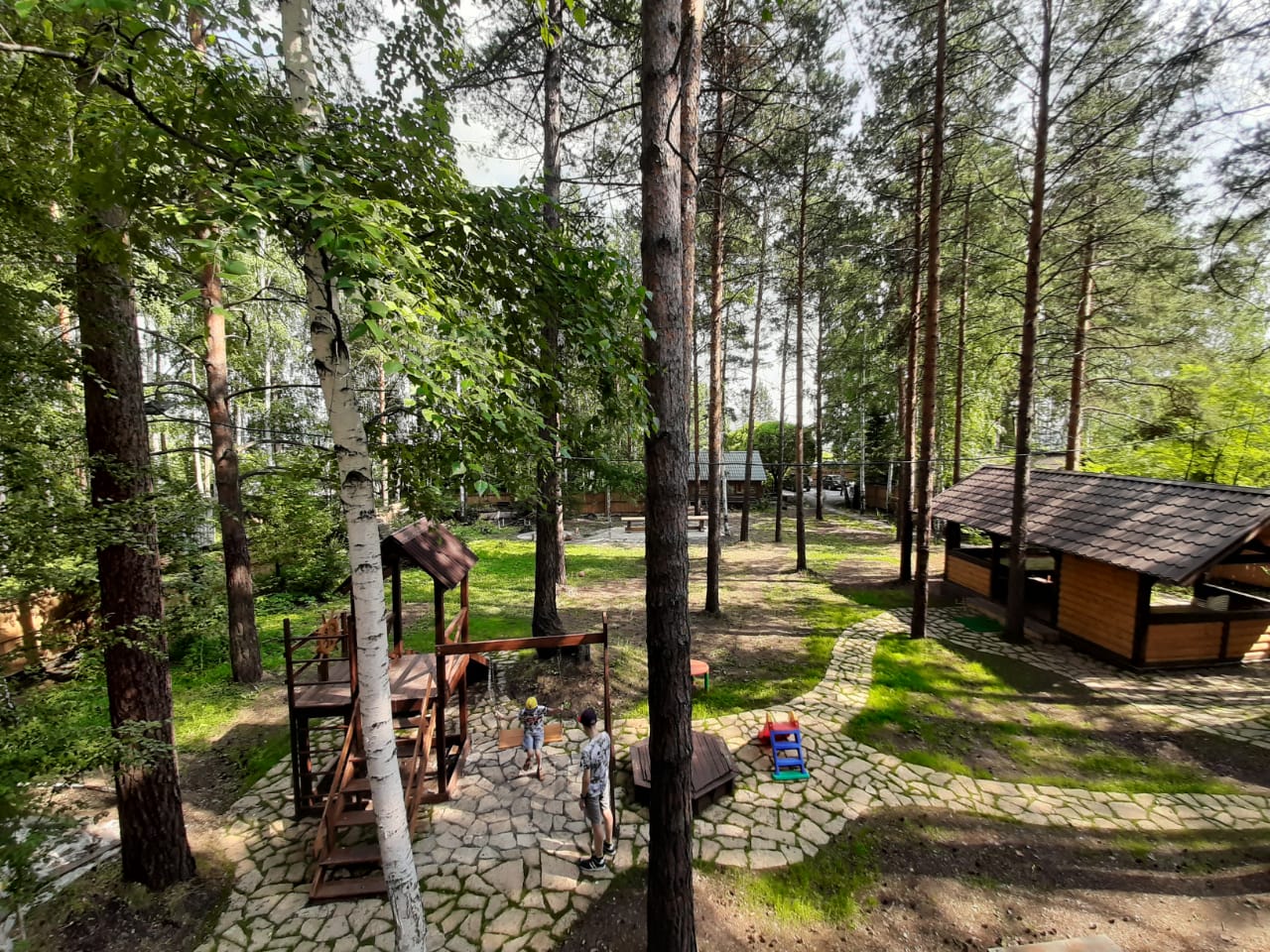 Фото Сосны-Лес