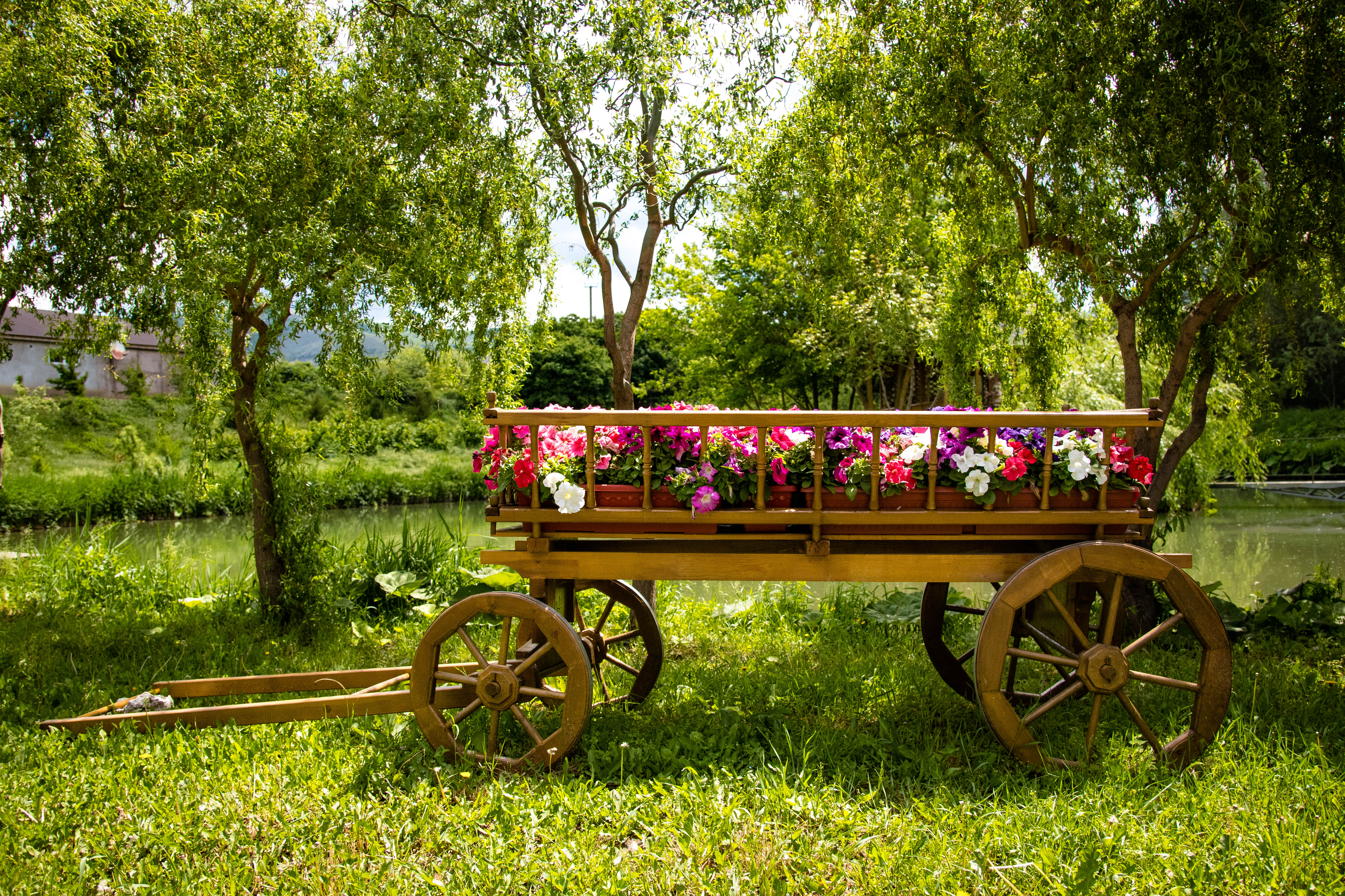 Фото Ангара