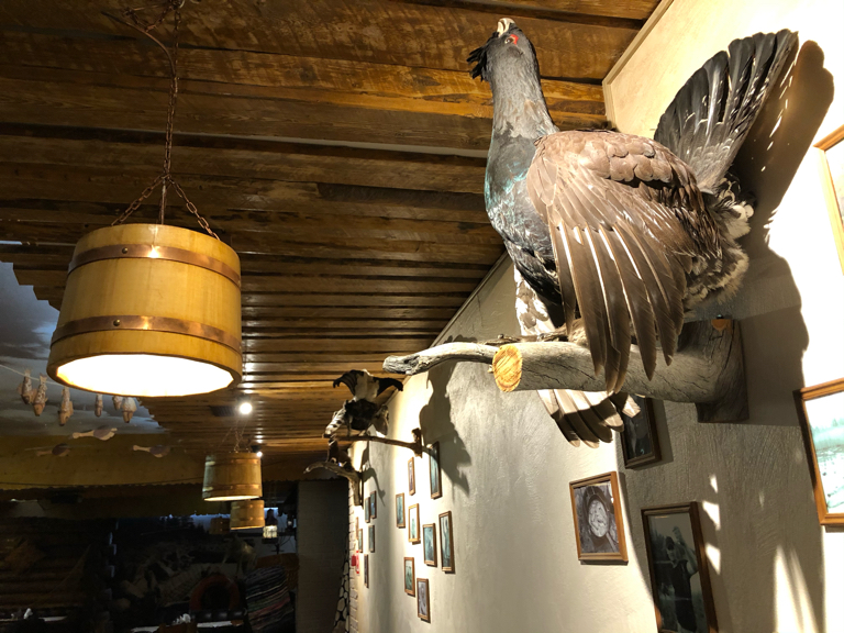 Фото Сегежа