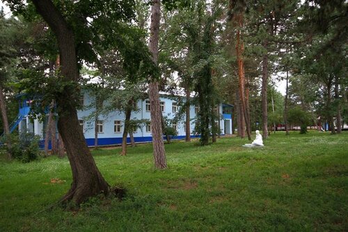 Санаторий Санаторий Пады, Саратовская область, фото