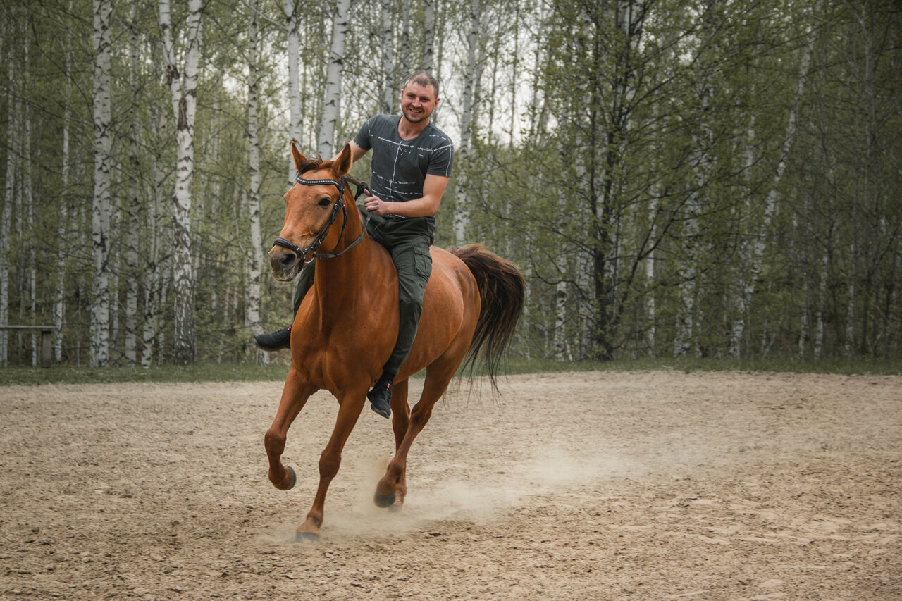 «Верховая езда в Новосибирске: 8 мест» фото материала