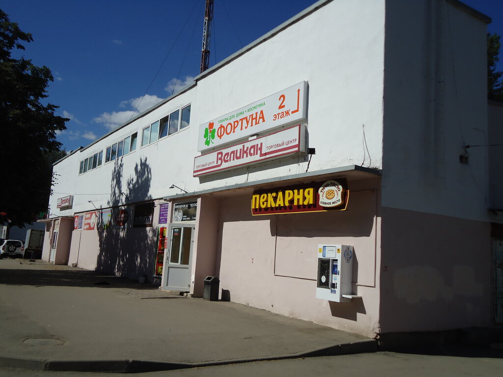 Великан ул великанова 7 московский район фото