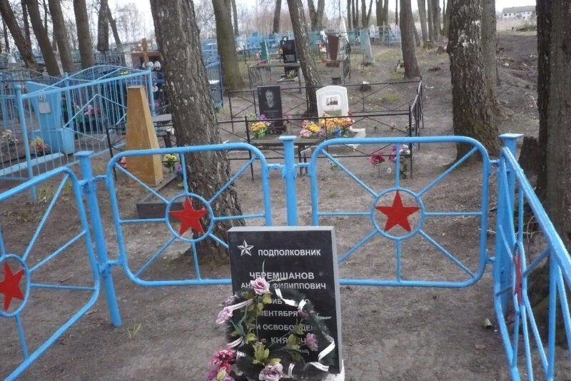 Monumento, memorial Могила подполковника А.Ф. Черемшанова, , foto