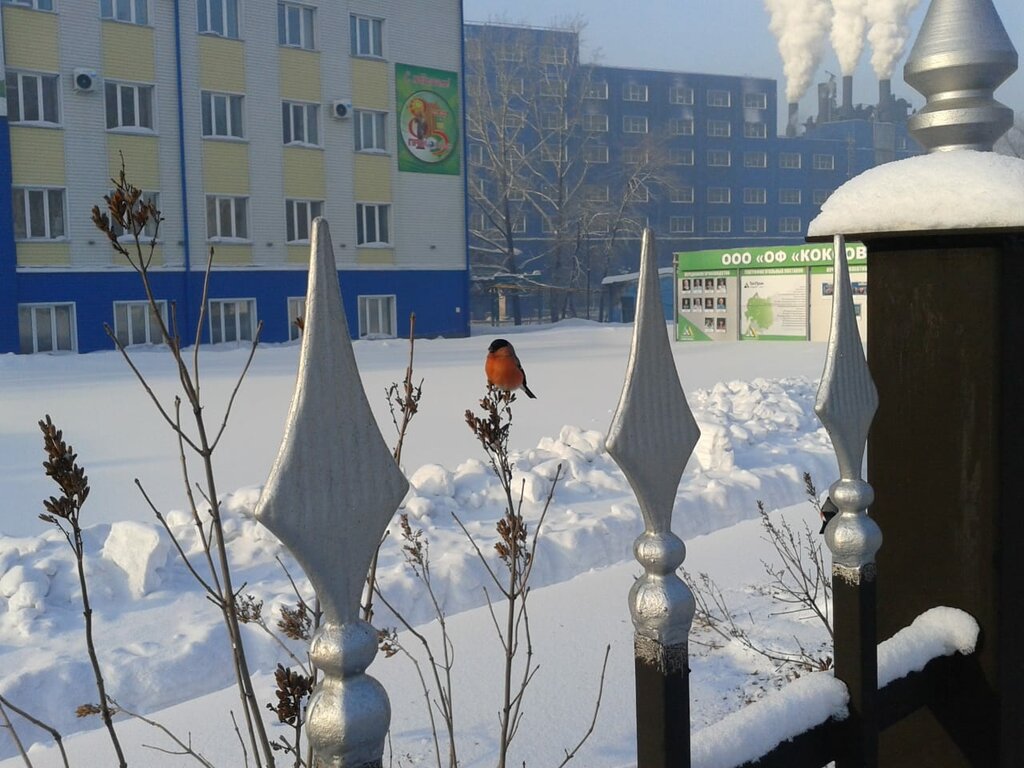 Угольная компания Обогатительная фабрика Коксовая, Прокопьевск, фото
