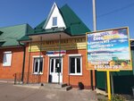Спец Деталь (Гоголевская ул., 240), магазин автозапчастей и автотоваров в Мичуринске