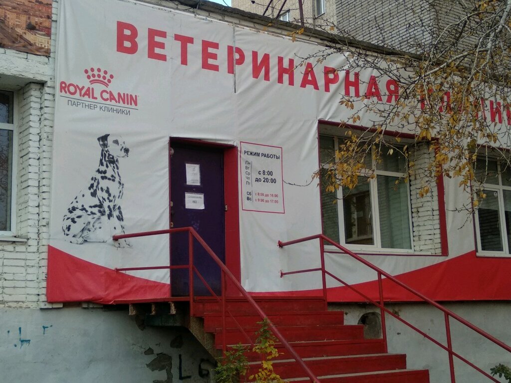 Ветеринарная клиника ул оружейника драгунова 64 фото