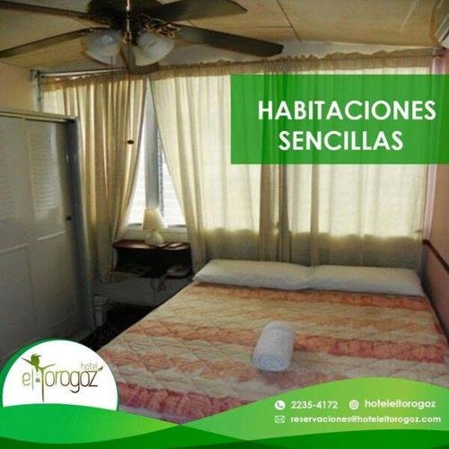 Фото Hotel El Torogoz