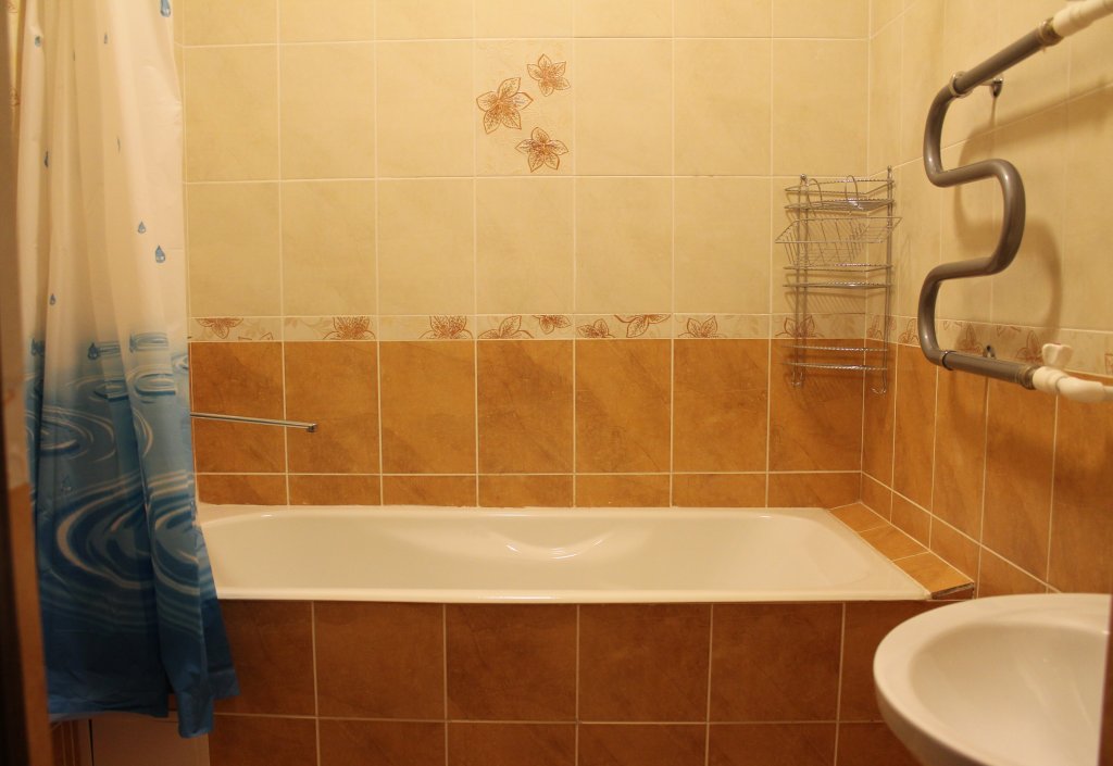 Фото Сорока