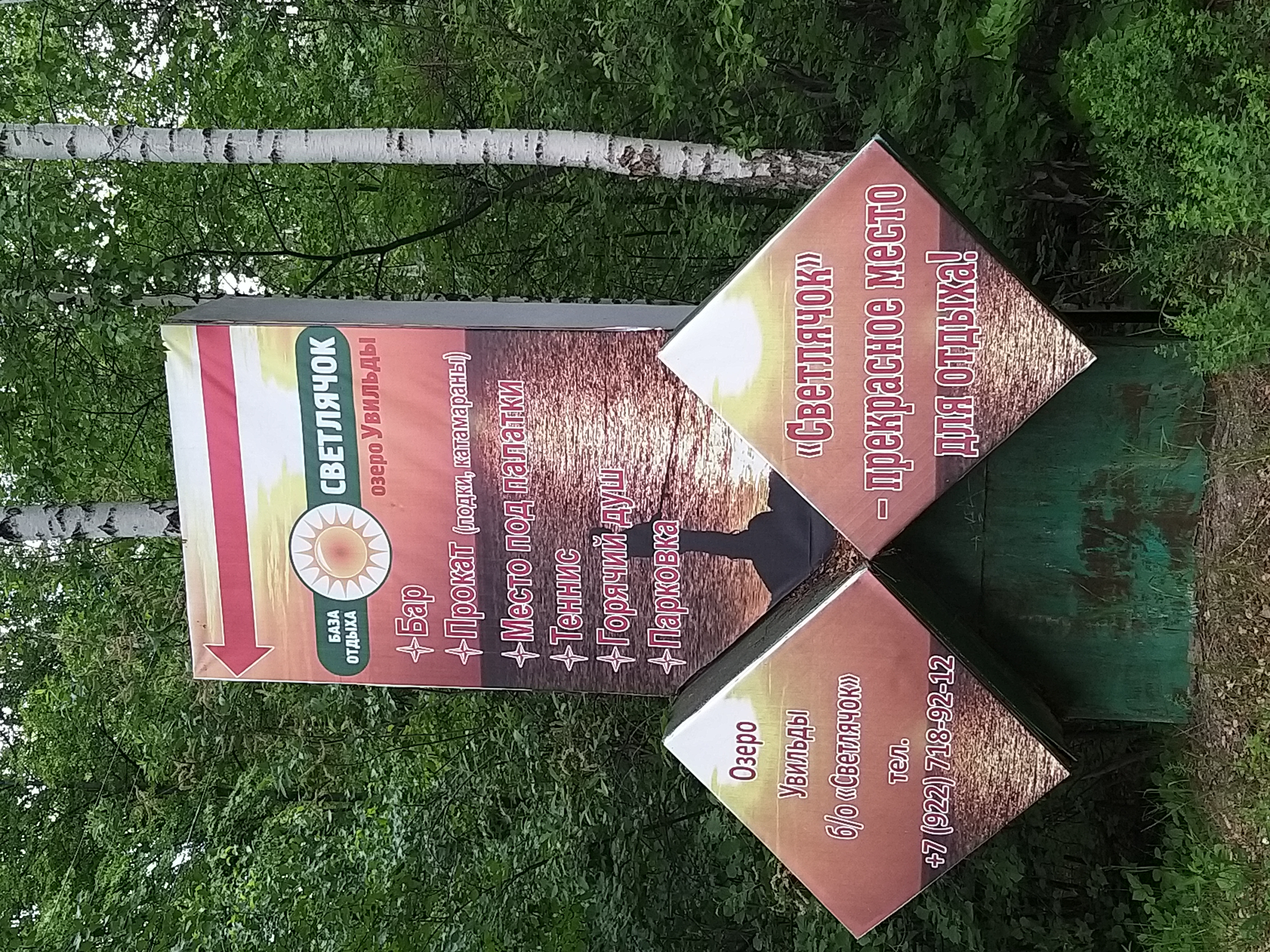 Фото Светлячок