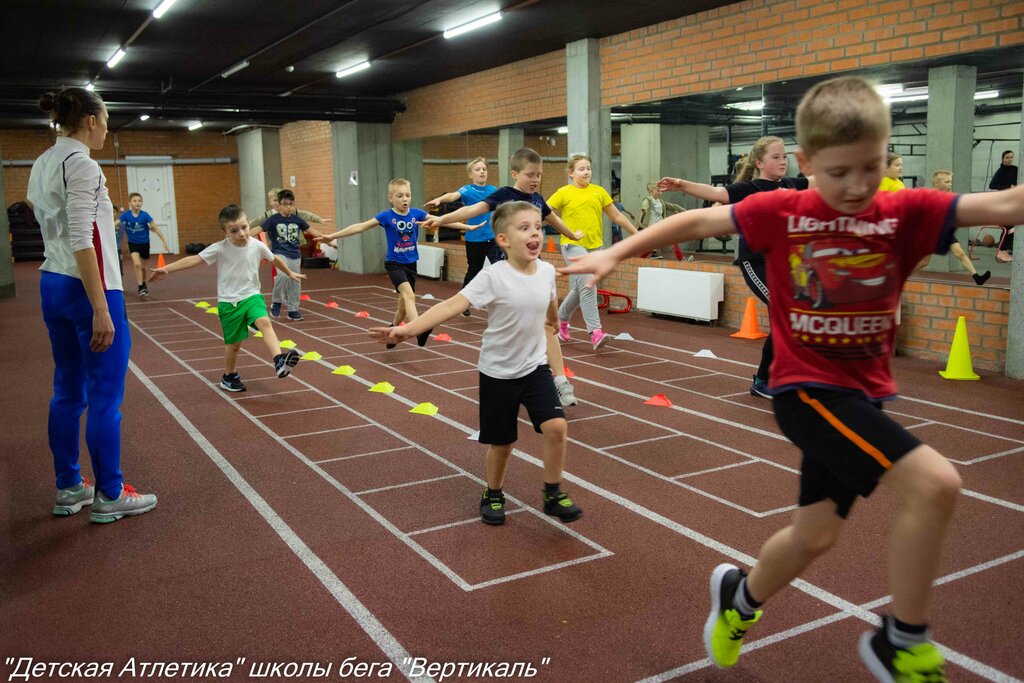 Спортивная вертикаль проект